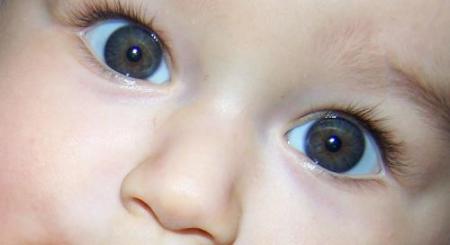 les yeux